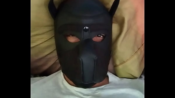 Lindo cachorrito mexicano (pup)