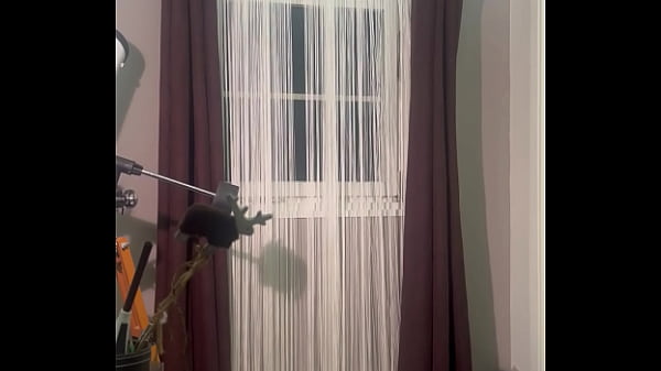 Verifikationsvideo